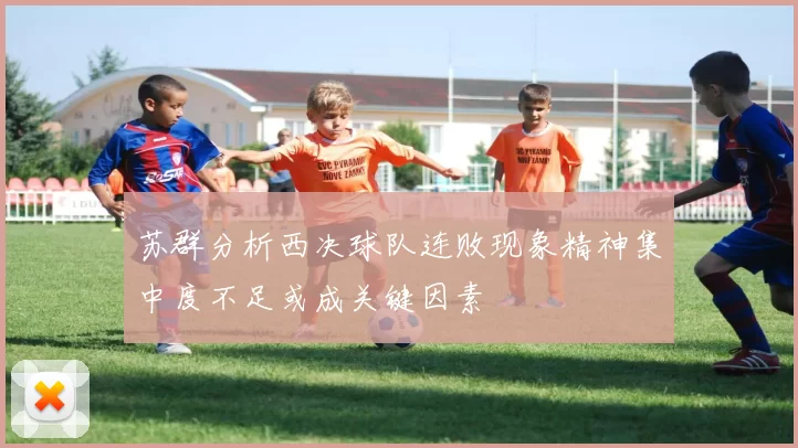 苏群分析西决球队连败现象精神集中度不足或成关键因素