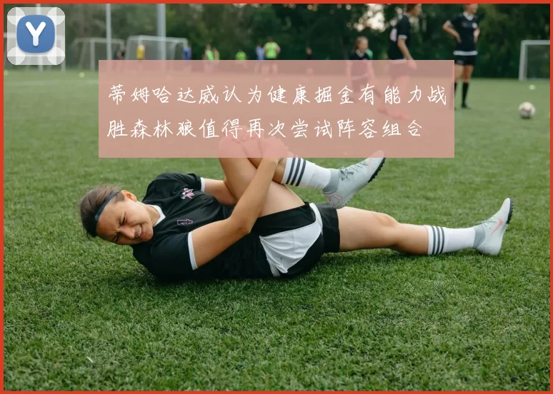 蒂姆哈达威认为健康掘金有能力战胜森林狼值得再次尝试阵容组合
