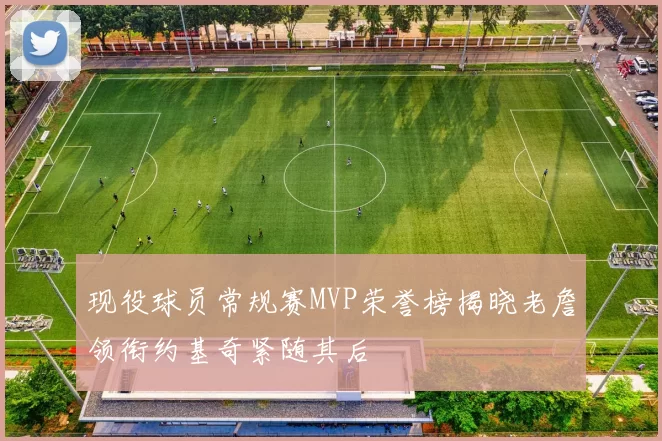 现役球员常规赛MVP荣誉榜揭晓老詹领衔约基奇紧随其后